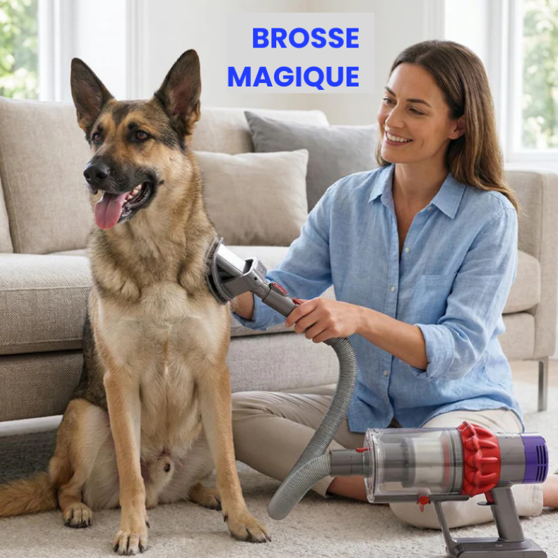 PetClean Pro™ – Brosse Aspirateur pour Chiens